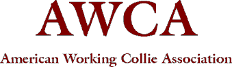AWCA - American Working Collie Association