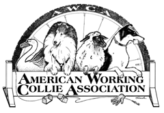 AWCA










 Logo